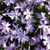 Pixelated abstract composition of purple, white, and dark green hues with no discernible subjects or text.