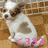Pixelated image of a small dog with white and brown fur lying on a wooden surface, featuring pink text '<333' at the bottom.