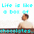 Pixelated image with cyan text reading "Life is like You never a box of chocolates. what your gonna get." and a person in a light-colored turtleneck.