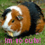 Two side-by-side pixelated images of a cartoon monkey with brown and white fur, black hair, and closed eyes, with pink text below each.