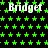 Static image with black background, green star pattern, and repeated white text "Bridget" in pixelated font.