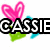 A digital icon with pink, green, and cyan hearts; black text 'CASSIE' in the top-left; two '<3' symbols replacing heart shapes on the right.