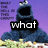 A pixelated blue monster with a large open mouth appears in six against a purple background, each displaying a word from the phrase 'what the hell is this crap?' in black text