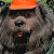 A pixelated animated contact sheet showing a dog wearing an orange hard hat on the left and green text reading "Original Icons .com" on the right against a dark background.