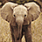 Pixelated image of a light brown elephant with large ears and a trunk, positioned against a textured beige background with pink text reading 'ELLIE' and 'the elephant' below.