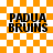 Orange and white checkered background with black text reading PADUA BRUINS in four quadrants, some displaying subtle pixelated light effects.