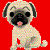 Pixelated pug dog with black face and ears, light tan body, pink tongue visible, sitting against solid red background.