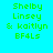 Four identical pixelated text layouts on cyan background with green text and pink highlight bars shifting positions across frames.