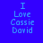 Blue background with light blue text reading "I Love Cassie David" arranged in a of six , each showing the same text with varying light blue rectangular overlays