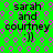 Green background with pink and gray pattern, text 'sarah and courtney :)' in black font, four identical copies arranged in a