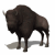 Animated sequence of a dark brown bison standing in profile, turning its head from left to right