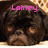 A pixelated dog face with pink text overlays in a four