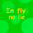 Green background with blurred circular shapes and yellow text reading "Im fly no lie" in four identical quadrants.