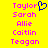 Yellow background with pink text names and a blue heart symbol; names include Taylor, Sarah, Allie, Caitlin, Teagan.