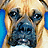 Pixelated close-up of a dog's face with blue eyes and light brown fur, set against a bright background.