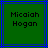 Green background with blue lines and black pixelated text reading "Micaiah Hogan" in two lines