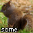 A squirrel in a grassy background with pixelated text reading 'some squirrels have all the nuts' across three