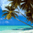 Pixelated beach scene with palm trees and turquoise water, overlaid with pink text on a cyan background.