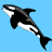 Pixelated orca with black and white coloring swims diagonally against solid light blue background.