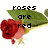 Pixelated red rose with green leaves and yellow stem, overlaid with black text reading 'roses are red' on left side.
