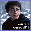 Six- of pixelated character portraits with overlaid text, showing two figures in snowy outdoor settings and indoor scenes