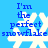 Blue background with white snowflake icons and blue text reading "I'm the perfect snowflake" in pixelated font.