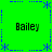 Green background with blue dashed border and asterisk decorations, four instances of the word "Bailey" in black text at corners.