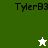 A split-screen animated icon shows 'TylerB3' text with a white star above and green star below on green and white backgrounds.