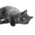 A grayscale pixelated cat lies on its side with eyes closed, head turned right, and front paws tucked under its body against a white background.