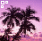 Two identical palm tree silhouettes against a purple-pink gradient sky with white square icons in corners.