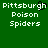 Green background with white pixelated text reading 'Pittsburgh Poison Spiders' in two , one featuring a black and white cursor overlay on the letter 'h'