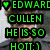 Green pixelated text displays 'EDWARD CULLEN HE IS SO HOT! :)' over a blurred background with a green heart symbol.