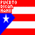 Pixelated flag design with red and white stripes, blue triangle containing a white star, and text reading "PUERTO RICAN MAMI" in multiple positions.