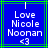 Blue square icon with white pixelated text reading "Love Nicole Noonan" and a heart symbol, bordered by green lines.