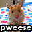 Four- of pixelated animal images with overlaid text: top-left hamster, top-right hamster with apple, bottom-left rabbit, bottom-right cat