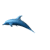 Animated sequence of a blue dolphin leaping and swimming in four distinct poses