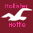 Maroon background with white seagull silhouette and pink text reading 'Hollister', 'Forever', 'Hottie', 'And', 'Always So', 'Gorgeous', and '<3' in pixelated font.