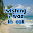 A beach scene with palm trees and ocean waves, overlaid with pixelated text reading "wishing i was in cali" where the word "cali" changes color across frames.