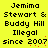 Yellow background with black pixelated text reading "Jemima Stewart & Buddy Hill Illegal since 2007" repeated twice in a