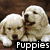 Four distinct buddy icon images arranged in a , each with text overlay