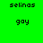 Green background with black pixelated text 'selinas' and 'goy' arranged in a pattern