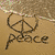 Four static buddy icon arranged in a : sand with peace symbol and 'peace' text, dolphin jumping over waves at sunset, summer-themed footprints on concrete, tropical beach scene with palm tree and boat