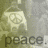 Static image shows a peace symbol with 'peace.' text on left and two yellow ducklings under pink heart on right.