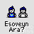 Pixel art animation of green car with blue character, showing progression from two figures to car, then car with yellow spark, and finally car crash with red debris.
