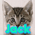 Pixelated cat face with large ears and dark eyes, below which is blue-green text reading 'Jack' on a light background.