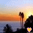 Pixelated sunset scene with palm trees and water, featuring a yellow heart icon that changes from pink to solid yellow.