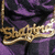 Animated icon shows gold cursive text 'Shakira' on purple and black draped fabric background with subtle shimmer.