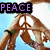 Animated icon shows hands forming peace sign with 'PEACE' text, transitioning to heart-shaped crowd scene with 'LOVE', then a brown figure with green spiral and 'APACHE' text.