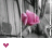 Animated sequence of pink rose buds against grayscale tree branches with changing heart icon counts below.