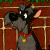 A pixelated cartoon character with dark gray fur, white eyes, and a pink ear stands behind a golden fence, wearing a red collar with a gold tag.